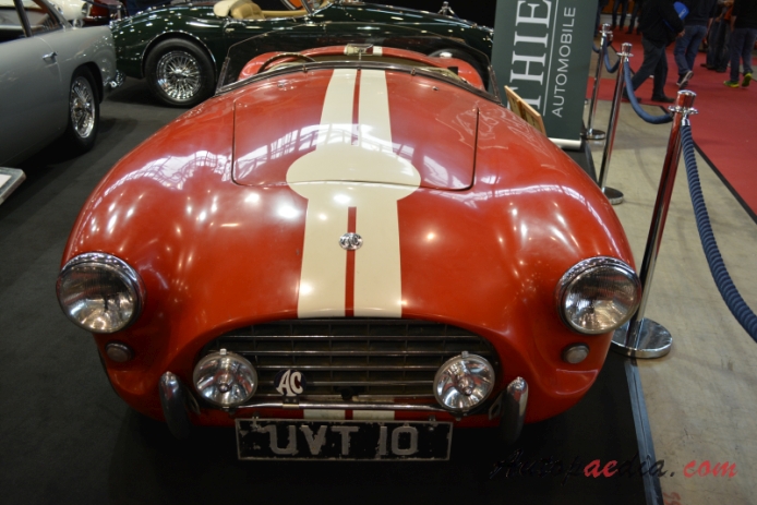 AC Ace 1953-1963 (1954 roadster 2d), front view