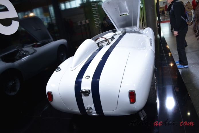 AC Ace 1953-1963 (roadster 2d), tył