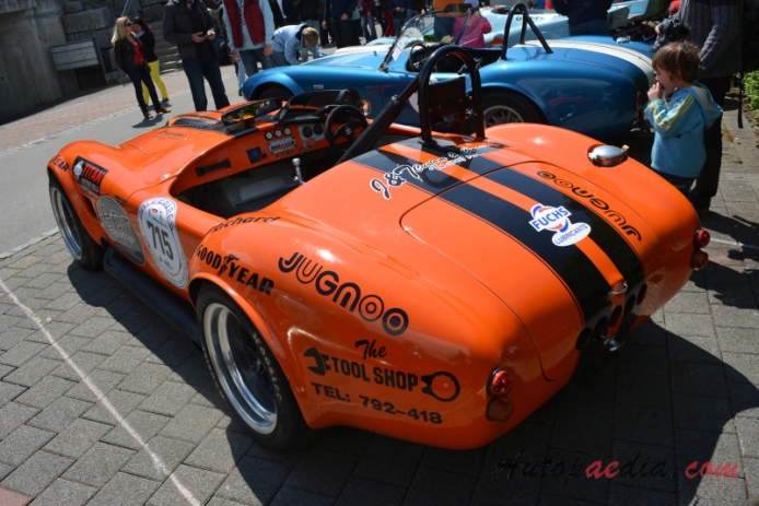 AC Cobra 1961-1967 (1966 Racing 427cu in.), lewy tył