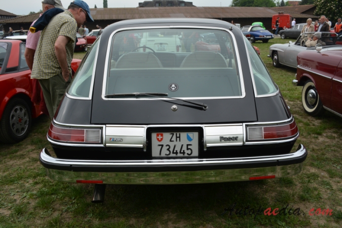 AMC Pacer 1975-1980 (1975-1978 Pacer D/L hatchback 3d), rear view