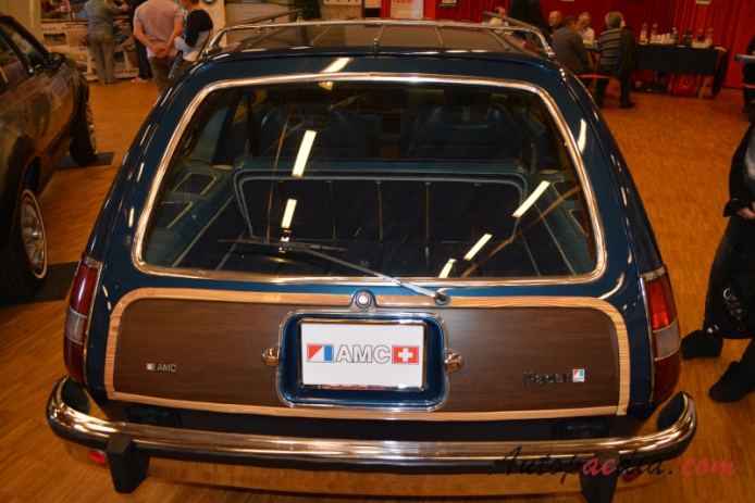 AMC Pacer 1975-1980 (1975-1978 Pacer D/L station wagon 3d), rear view