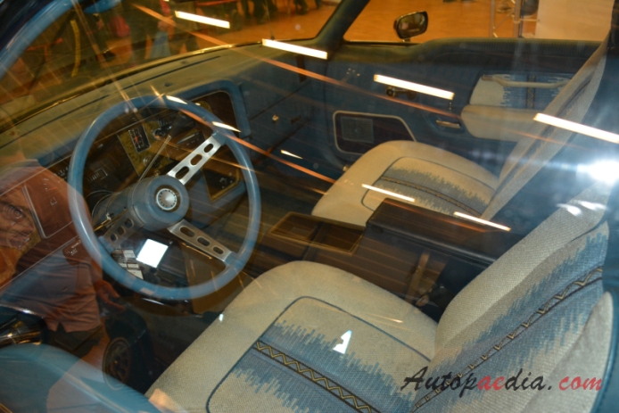 AMC Pacer 1975-1980 (1975-1978 Pacer D/L station wagon 3d), interior