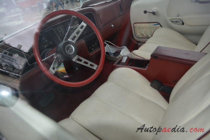 AMC Pacer 1975-1980 (1976 hatchback 3d), interior