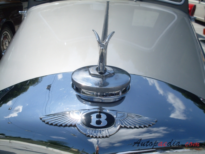 Bentley R type 1952-1955 (1954 saloon 4d), front emblem  