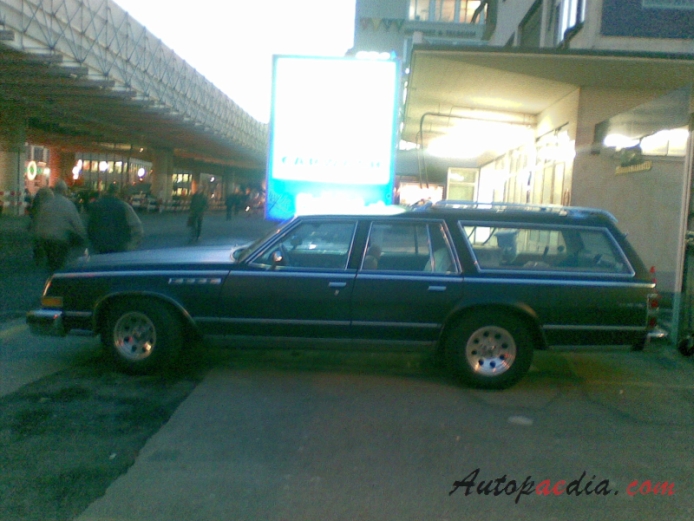 Buick Electra 5th generation 1977-1984 (1977-1978 Estate Wagon), left side view
