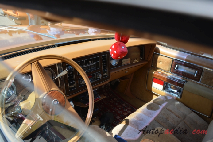 Buick Electra 5. generacja 1977-1984 (1978 Buick Electra Limited sedan 4d), wnętrze