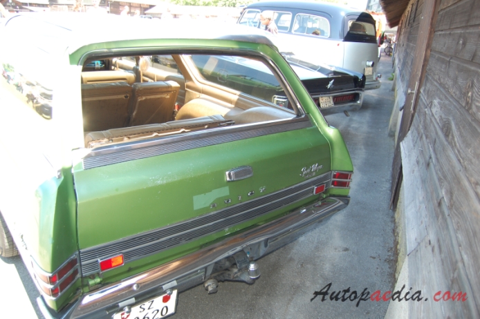 Buick Sport Wagon 1. generacja 1964-1967 (1966), tył
