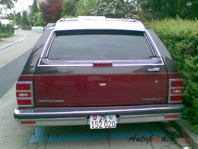 Chevrolet Caprice 3. generacja 1977-1990 (1987-1990 Chevrolet Caprice Classic station wagon 5d), tył
