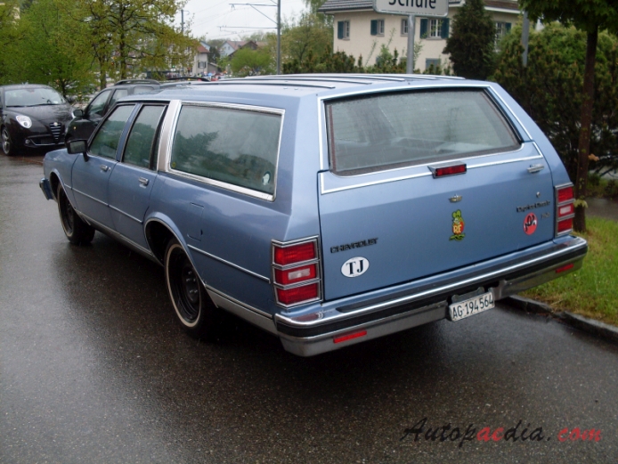 Chevrolet Caprice 3rd generation 1977-1990 (1987-1990 Chevrolet Caprice Classic station wagon 5d),  left rear view