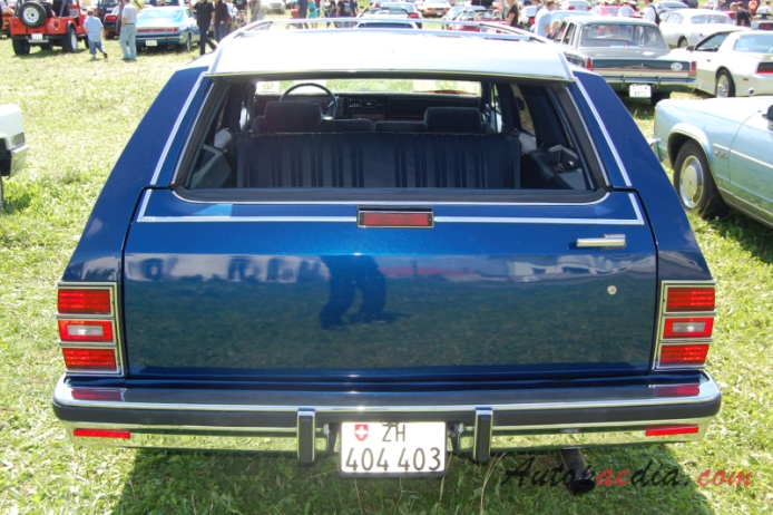 Chevrolet Caprice 3. generacja 1977-1990 (1988 Chevrolet Caprice Classic station wagon 5d), tył