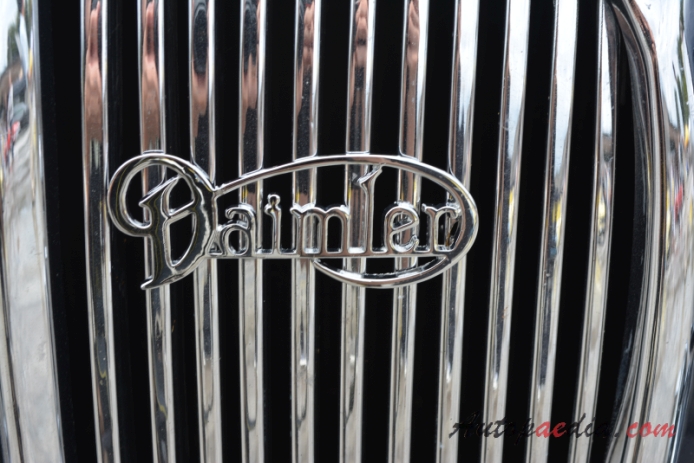 Daimler 2.5 V8 1962-1967 (1964 saloon 4d), front emblem  