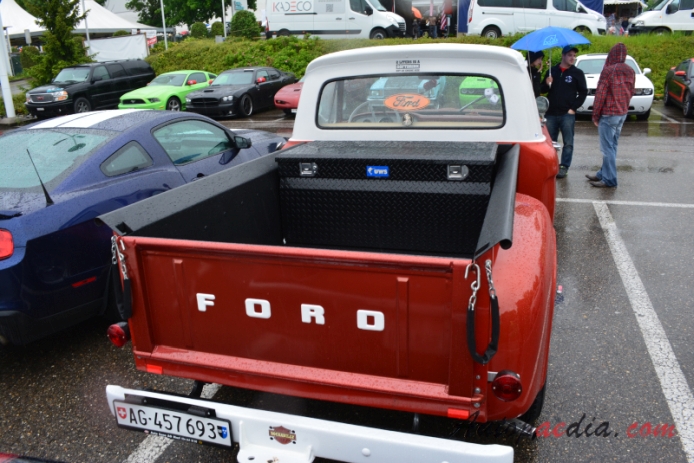 Ford F-series 4th generation 1961-1966 (1965 F-100 pickup 2d), rear view
