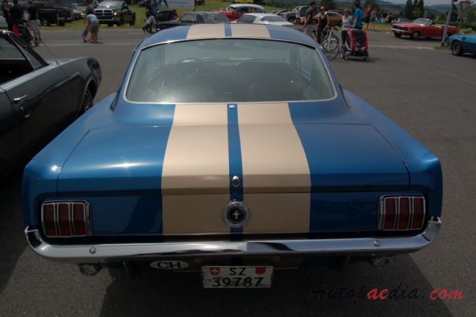 Ford Mustang 1st generation 1964-1973 (1965 289 cu in 2+2 Fastback), rear view