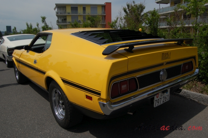 Ford Mustang 1st generation 1964-1973 (1971-1972 Mach 1 fastback),  left rear view