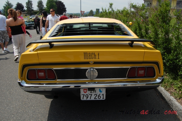 Ford Mustang 1. generacja 1964-1973 (1971-1972 Mach 1 fastback), tył