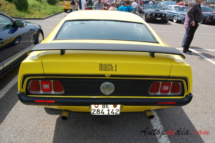 Ford Mustang 1st generation 1964-1973 (1971-1972 Mach 1 fastback), rear view