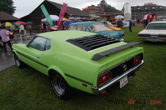 Ford Mustang 1st generation 1964-1973 (1971 Boss 351 fastback),  left rear view