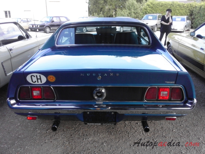 Ford Mustang 1st generation 1964-1973 (1971 V8 Grande), rear view