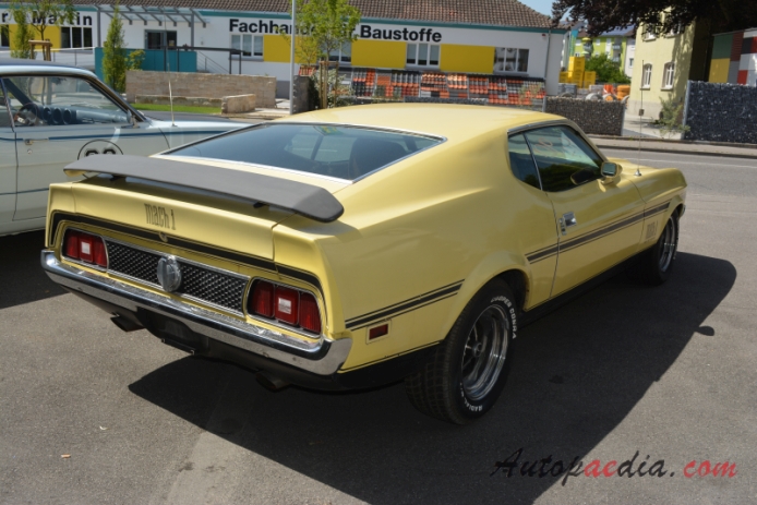 Ford Mustang 1st generation 1964-1973 (1972 Mach 1 fastback), right rear view