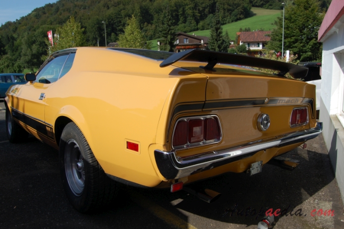 Ford Mustang 1st generation 1964-1973 (1973 Mach 1 fastback),  left rear view