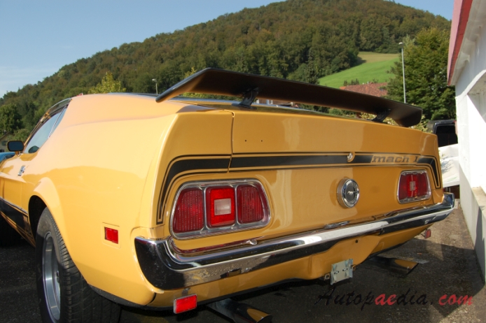 Ford Mustang 1st generation 1964-1973 (1973 Mach 1 fastback), rear view