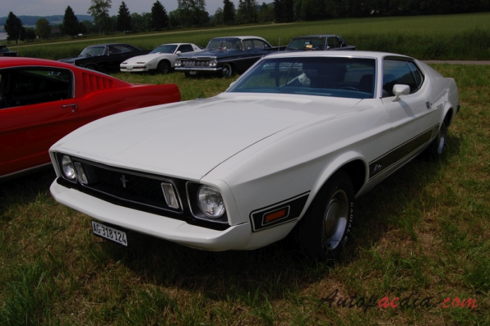 Ford Mustang 1st generation 1964-1973 (1973 Mach 1 fastback), left front view