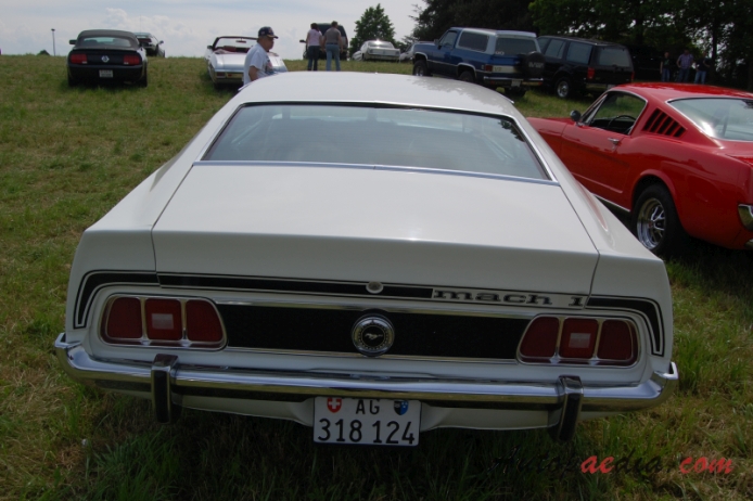 Ford Mustang 1st generation 1964-1973 (1973 Mach 1 fastback), rear view