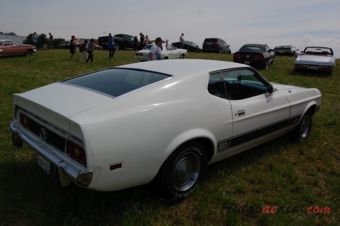 Ford Mustang 1st generation 1964-1973 (1973 Mach 1 fastback), right rear view