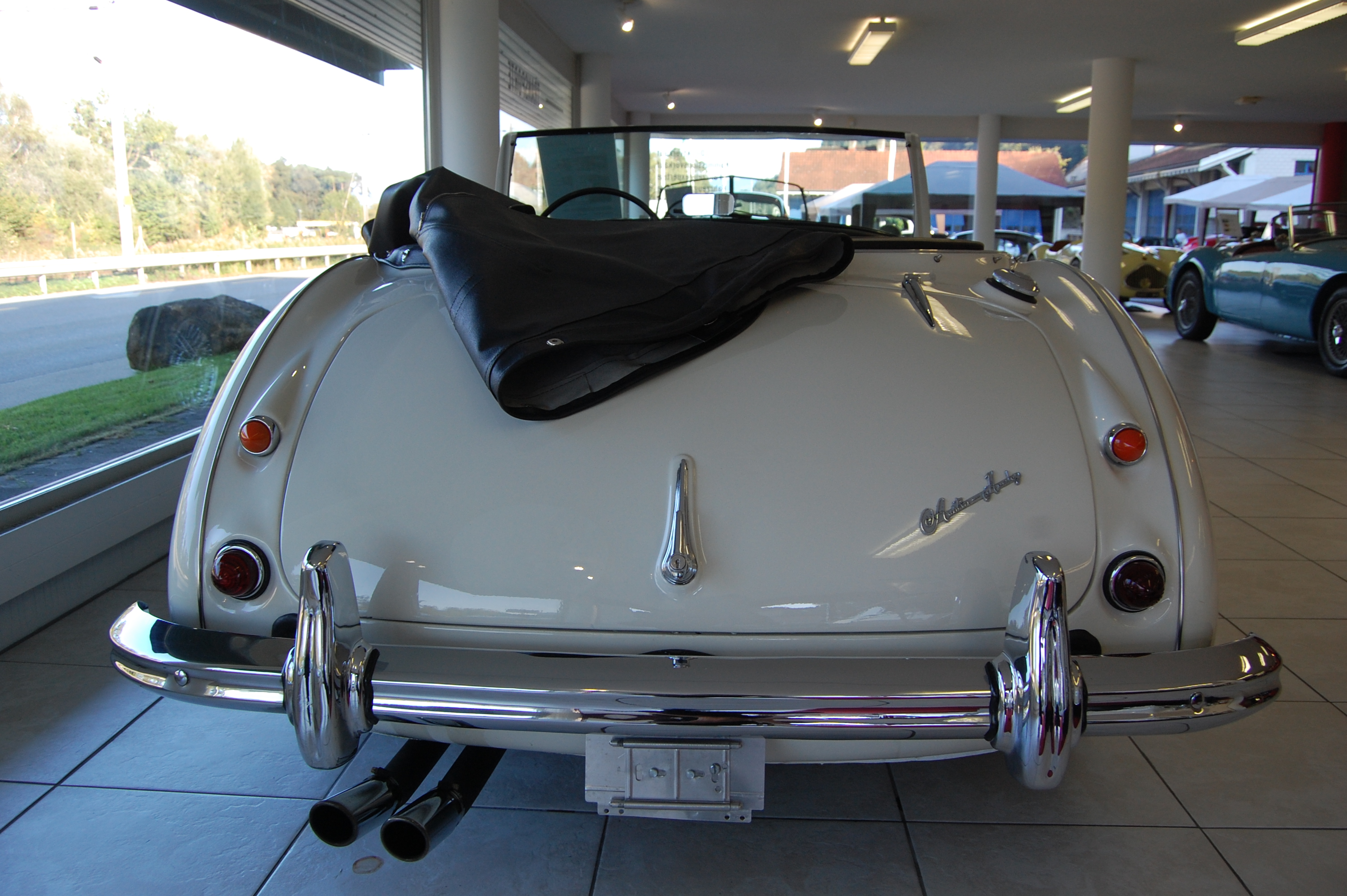 Austin-Healey 100-6 1956-1959 (1956 BN4), rear view