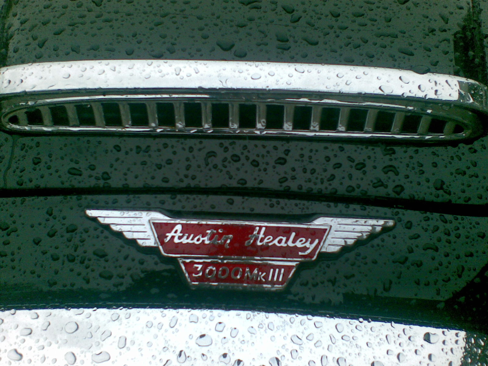 Austin-Healey 3000 Mk III 1964-1967 (1966), front emblem  