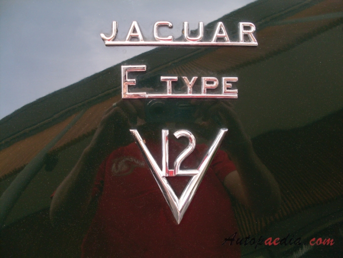 Jaguar E-Type Series 3 1971-1974 (1972 OTS convertible V12), rear emblem  