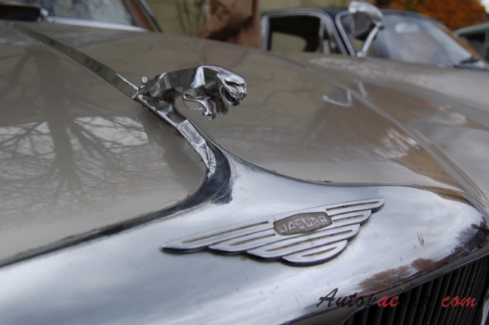 Jaguar Mark X (420G) 1961-1970 (1968 420G), emblemat przód 