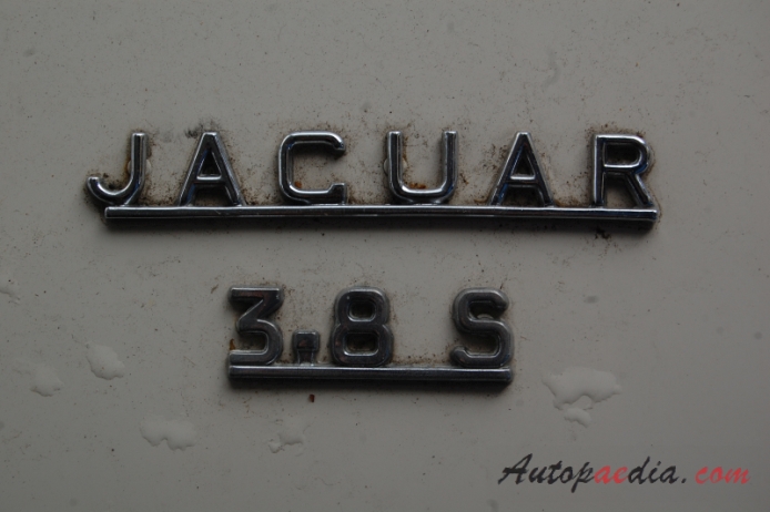 Jaguar S Type 1963-1968 (1965 3.8 S saloon 4d), rear emblem  