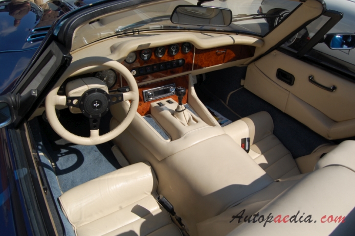 Marcos Mantula 1983-1993 (1990 3.9 V8 Spyder convertible 2d), interior