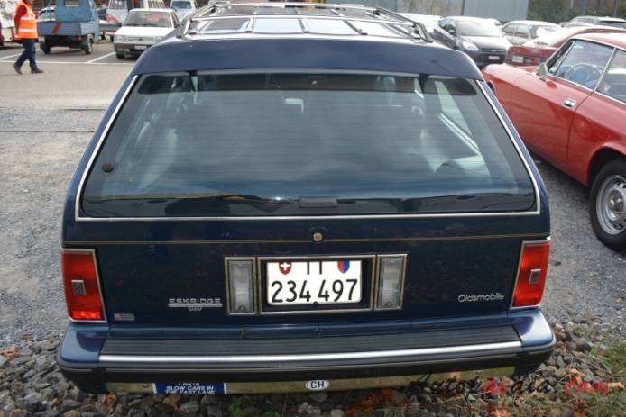 Oldsmobile Cutlass Ciera 1982-1996 (1989-1996 Oldsmobile Cutlass Cruiser SL Station Wagon 5d), rear view