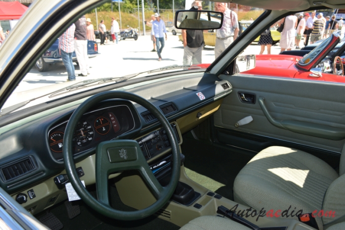 Peugeot 505 1979-1993 (1980 505 GR sedan 4d), interior