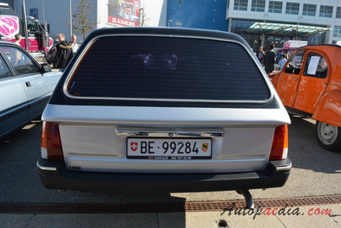 Peugeot 505 1979-1993 (1989 505 Break hearse 4d), rear view