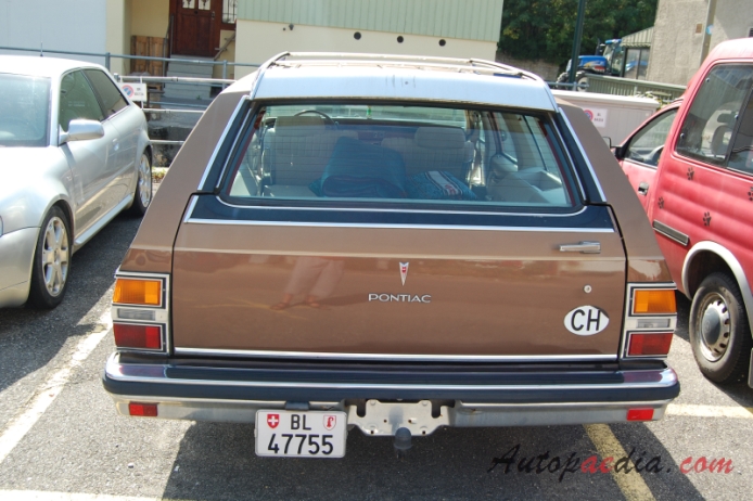 Pontiac Bonneville 5th generation 1977-1981 (1981 Safari Station Wagon 5d), rear view