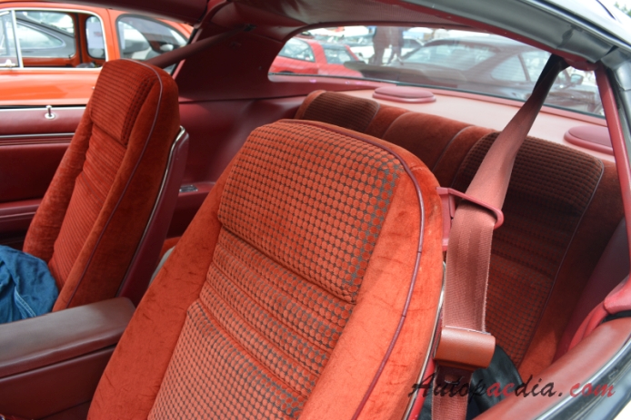 Pontiac Trans Am 2nd generation 1970-1981 (1979-1981 Trans Am Targa-top Coupé 2d), interior