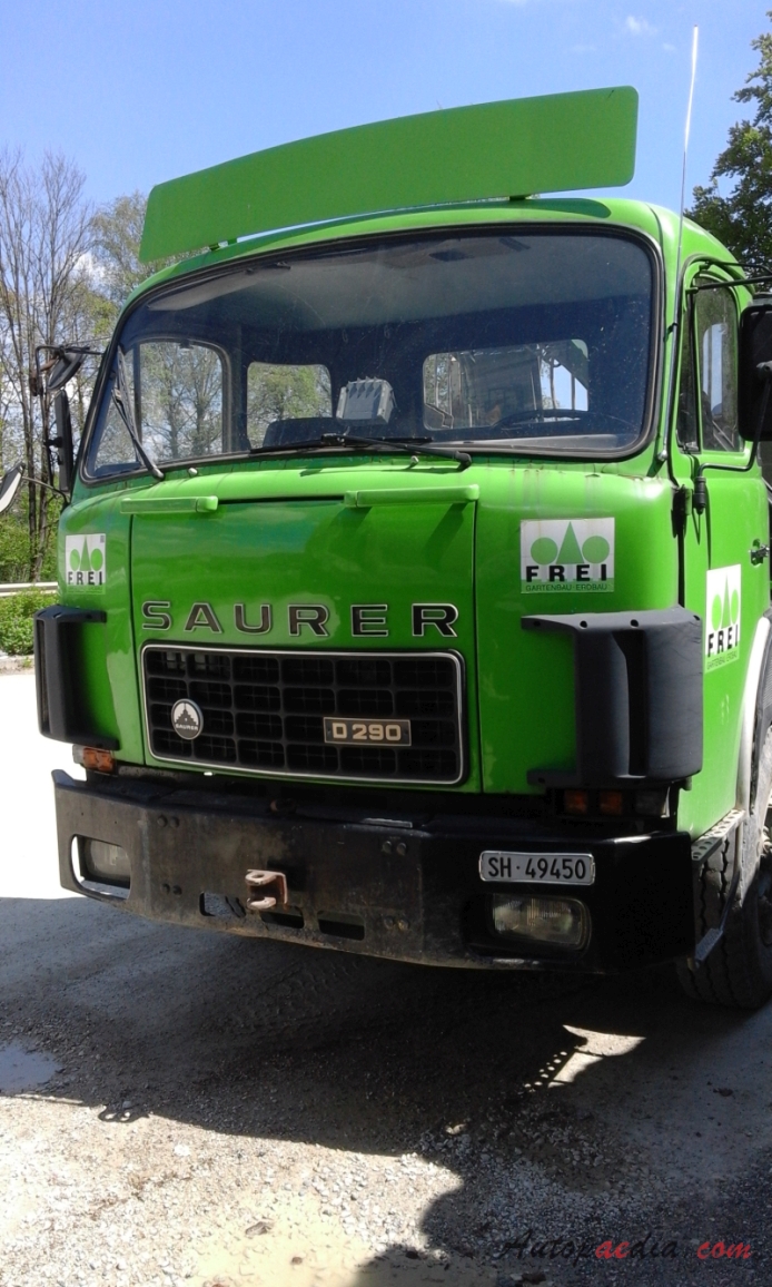 Saurer type D 1959-1983 (1974-1983 Saurer D290 Frei Gartenbau Erdbau 4x2 dump truck), front view