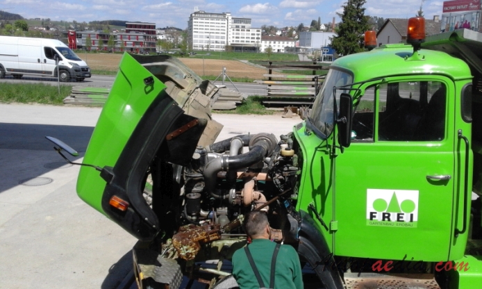 Saurer type D 1959-1983 (1974-1983 Saurer D330 Frei Gartenbau Erdbau 6x6 dump truck), engine  