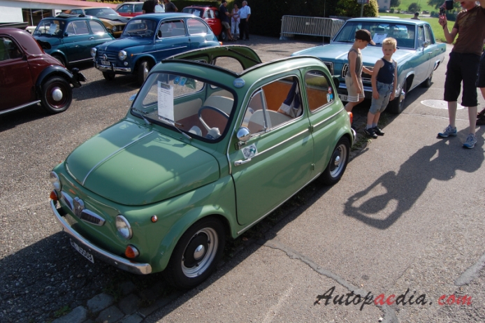 Steyr-Puch 500 1957-1973 (1962 650 T), left front view