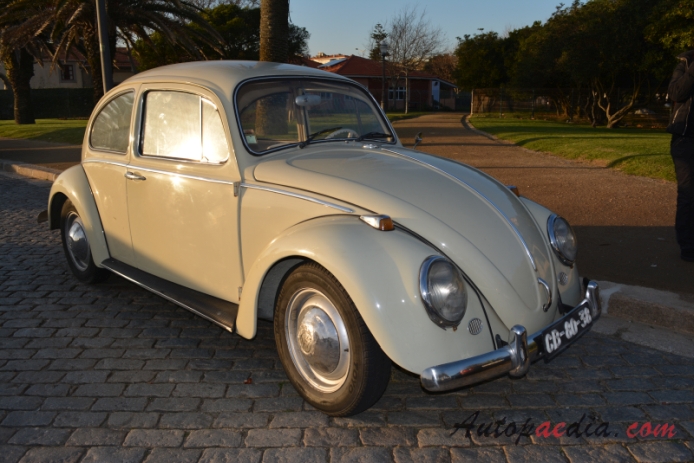 VW type 1 (Beetle) 1946-2003 (1965), right front view