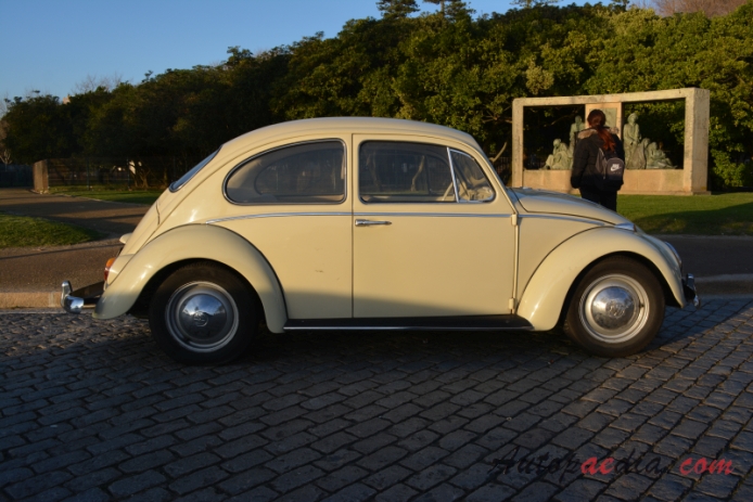VW typ 1 (Garbus) 1946-2003 (1965), prawy bok